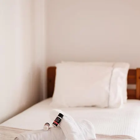 Prázdninový dům Horizon Nest Mykonos Ornos!