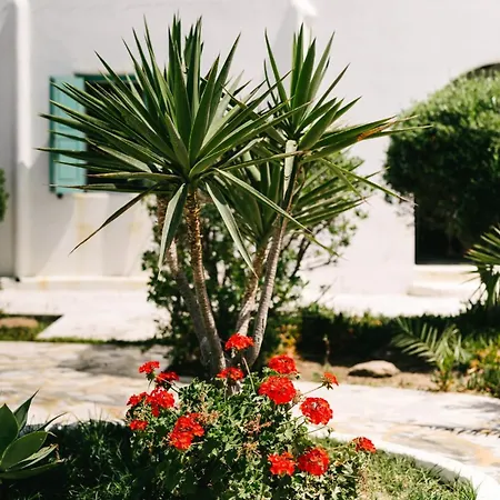Horizon Nest Mykonos Ornos! Casa vacanze